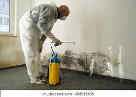 Professional Mold Remediation in Whitewater, WI